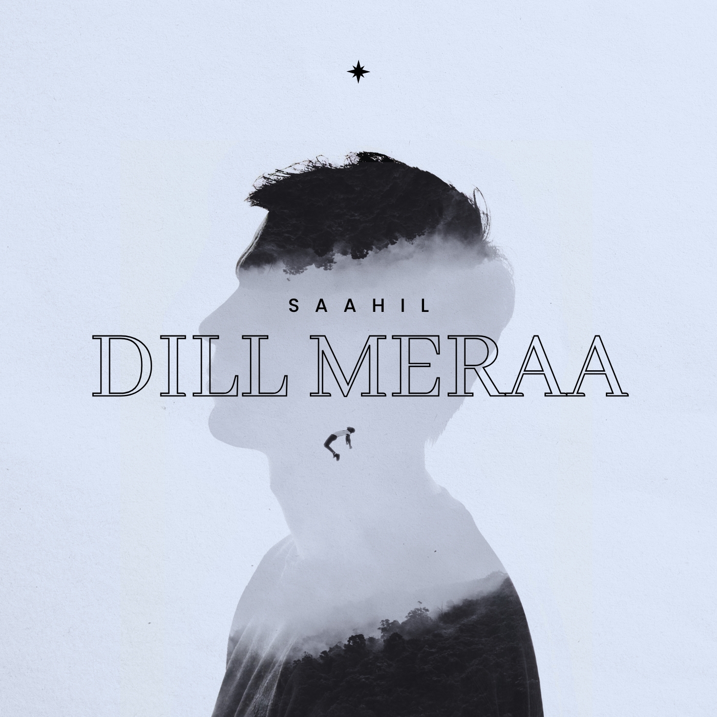 Dill Meraa Saahil